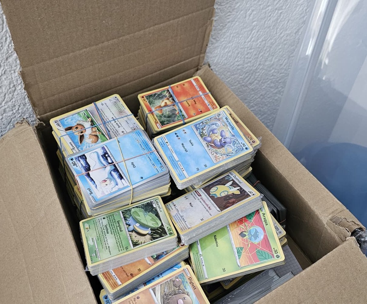Pokemon und Sammelkarten