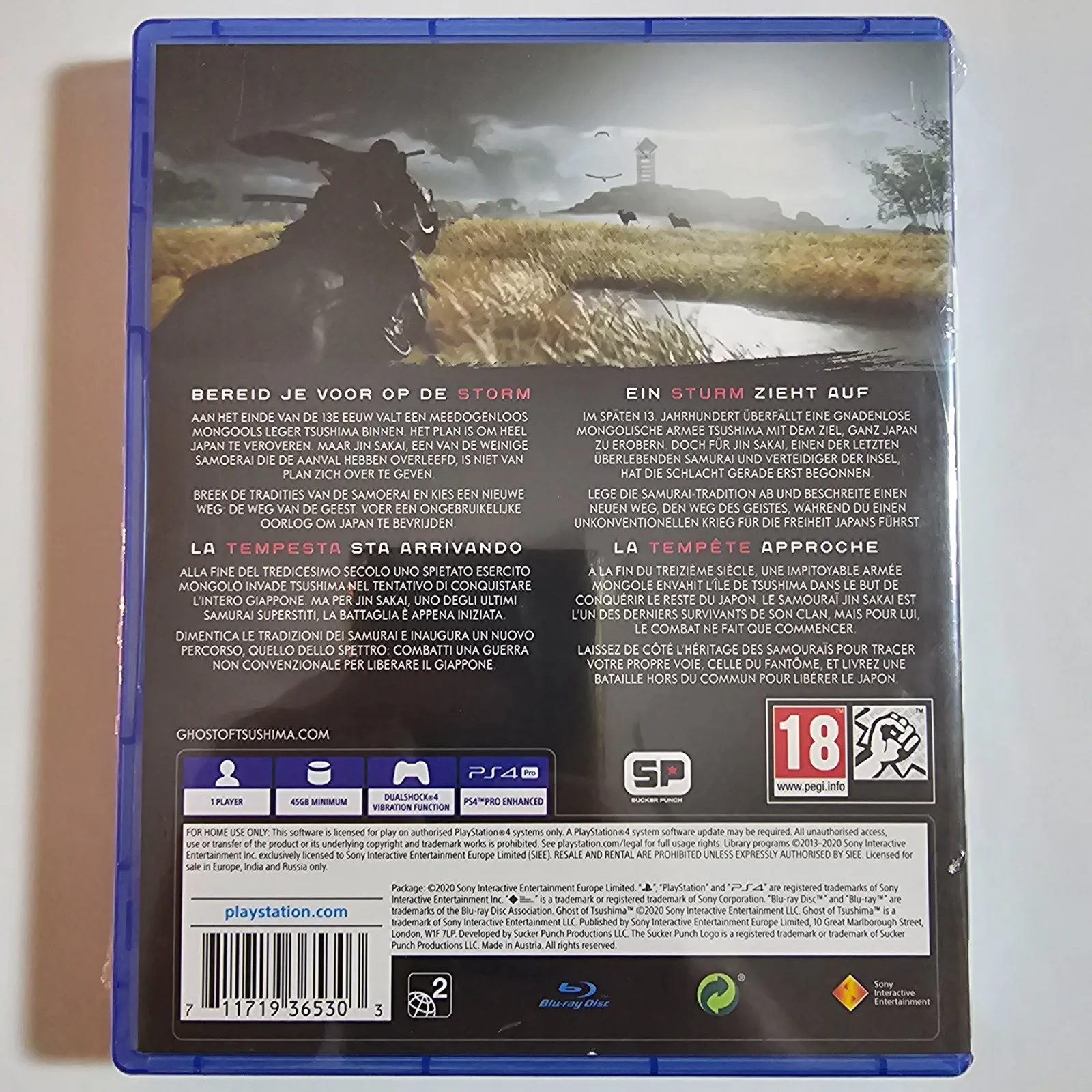 Ghost of Tsushima PS4, Ansicht 2