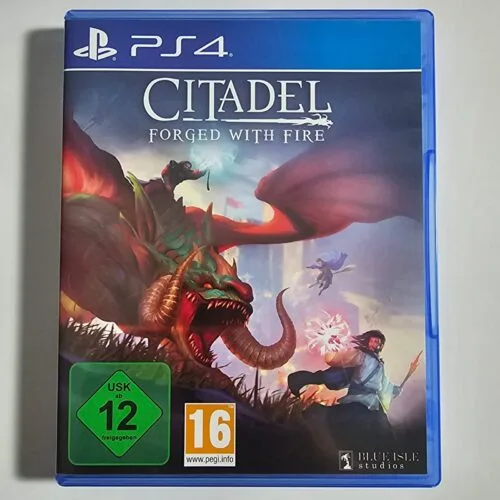 Citadel Forged with Fire PS4
