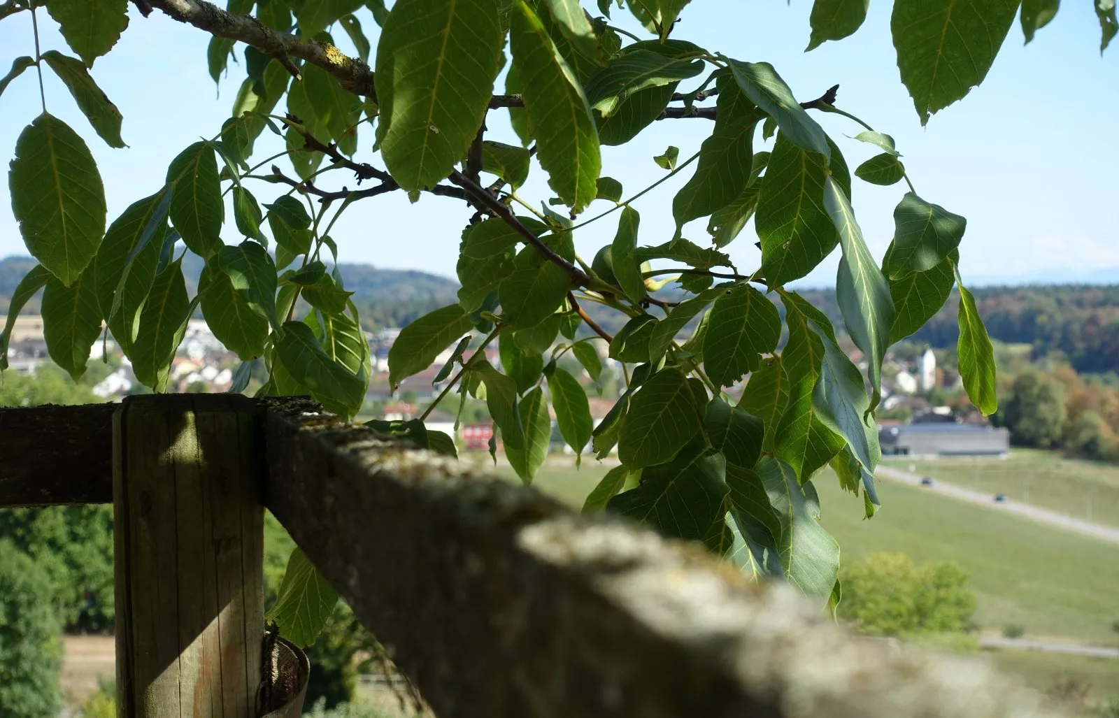 Sony Cyber-shot DSC-RX100 III, Ansicht 8